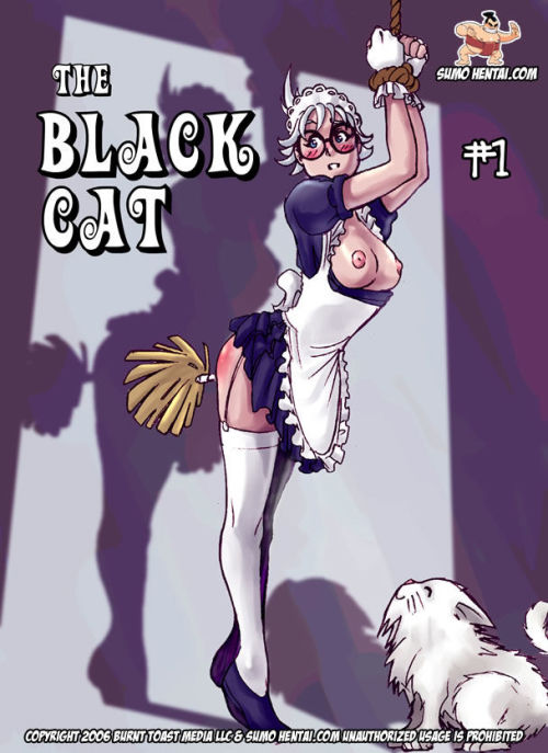 De zwart Kat #1 Onderdeel 3